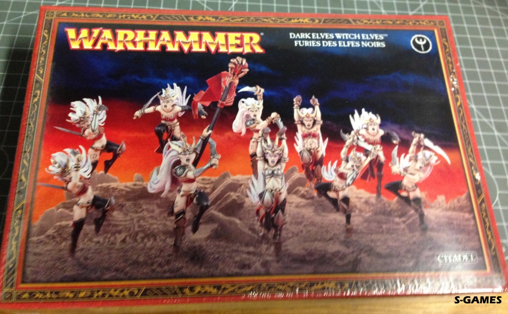 Hexenkriegerinnen/Schlächterschwestern der Dunkelelfen