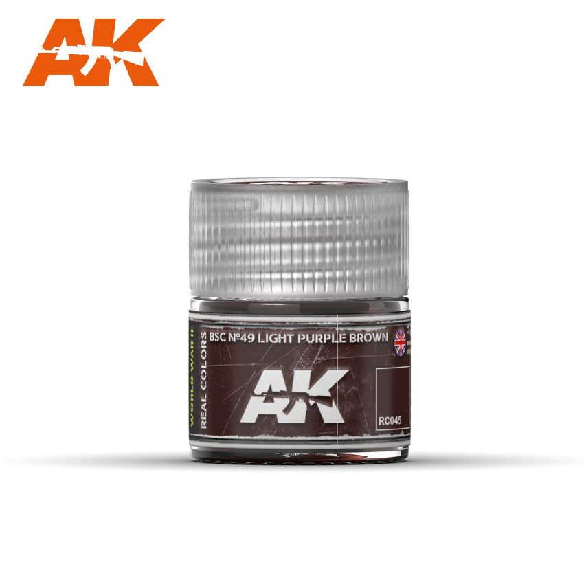 AK Real Colors BSC Nº49 LIGHT PURPLE BROWN