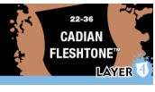 [2100000028962] Cadian Fleshtone (Layer)