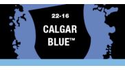 [2100000028764] Calgar Blue (Layer)