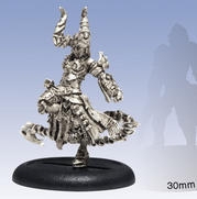 [2100000081929] Cryx Satyxis Raider Captain Blister