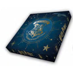 [2100000098606] Preorder: Danilo Calendar - HARRY POTTER 2022 CALENDAR &amp; DIARY GIFT BOX