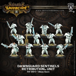 [2100000081967] Retribution Unit Dawnguard Sentinels Box (plastic) REPACK