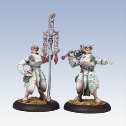 [2100000081936] Scyrah Dawnguard Invictor &amp; Bearer