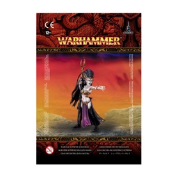 [2100000038428] Erzzauberin der Dunkelelfen