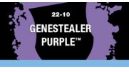 [2100000028702] Genestealer Purple (Layer)