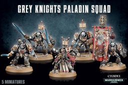[2100000039845] Grey Knights Paladin Squad