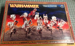 [2100000068487] Hexenkriegerinnen/Schlächterschwestern der Dunkelelfen