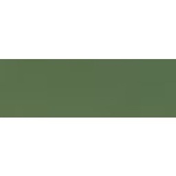 [2100000088966] Model Color: 079 Goldoliv (Golden Olive), 17 ml (857)