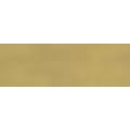 [2100000089895] Model Color: 172 Gold (Gold), 17 ml (996)