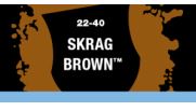 [2100000029006] Skrag Brown (Layer)