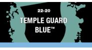 [2100000028801] Temple Guard Blue (Layer)